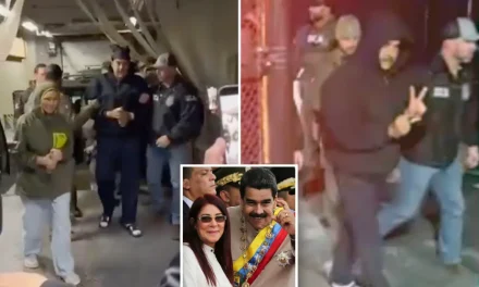 Borba protiv islamističkog terorizma nije više u modi, u modi je sada rat protiv droge