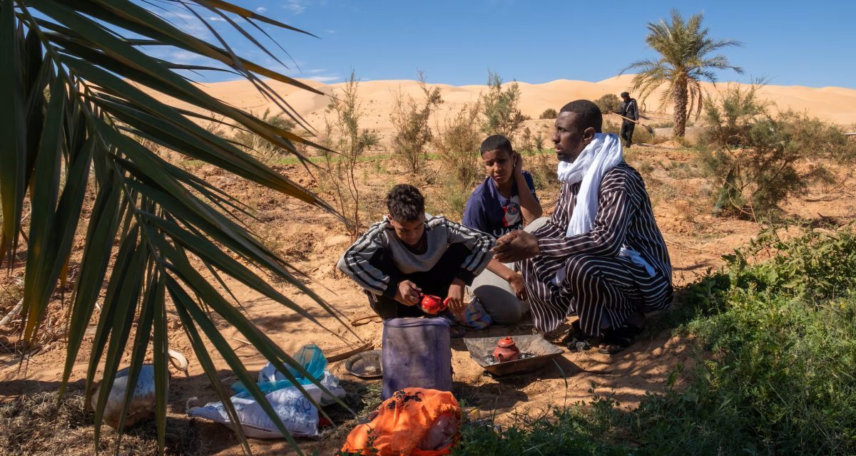 Sufijska oaza u srcu Sahare