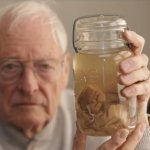 Šta nam zapravo govori mozak Albert Einsteina