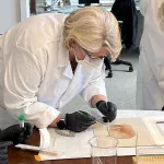 Crtež od krede možda sadrži DNK Leonarda da Vincija