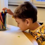 Švedske migracijske vlasti protjerale su četverogodišnjeg autističnog dječaka Raifa Terzića u Bosnu i Hercegovini