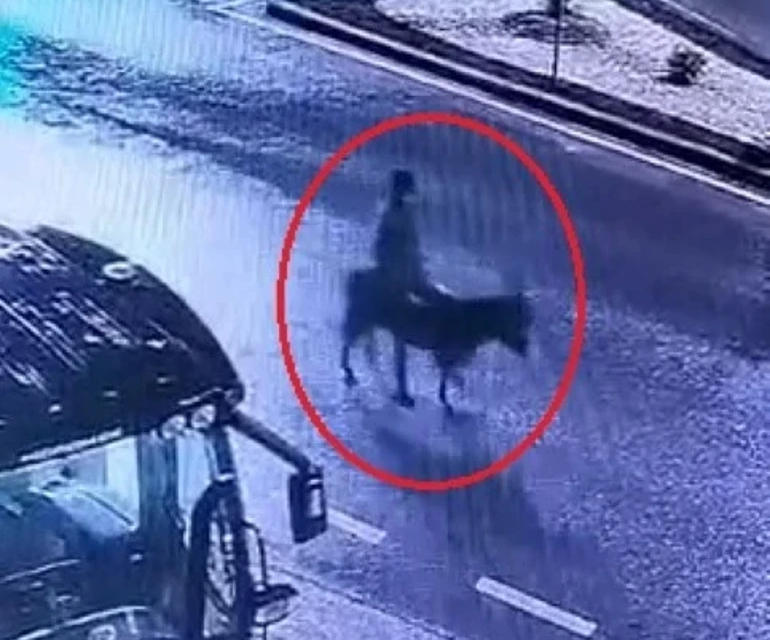 Ušao u zlataru viljuškarom, pokrao zlato i pobjegao na magarcu