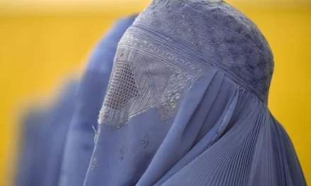 Zabrana burke: Evropa između slobode i kontrole