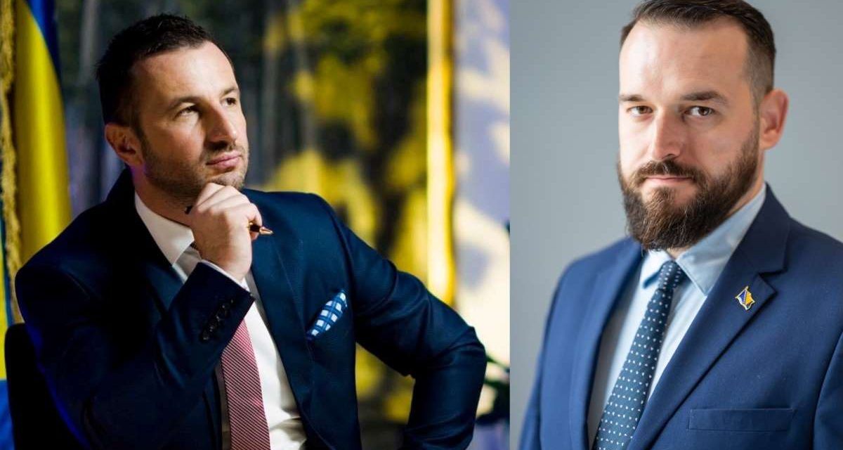 Državnik u snovima, stranački brodolom u praksi