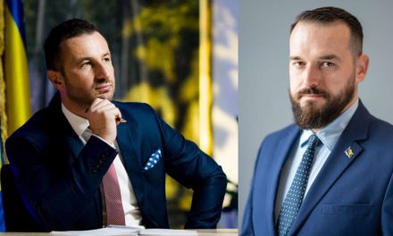 Državnik u snovima, stranački brodolom u praksi