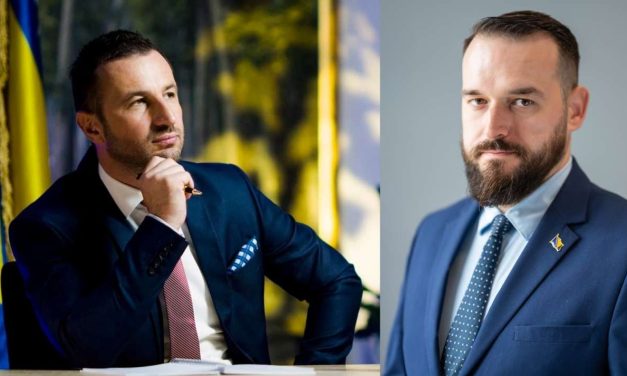 Državnik u snovima, stranački brodolom u praksi