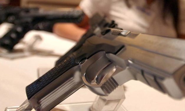 Vatreno oružje u rukama civila: Zašto se naoružavaju Poljaci?