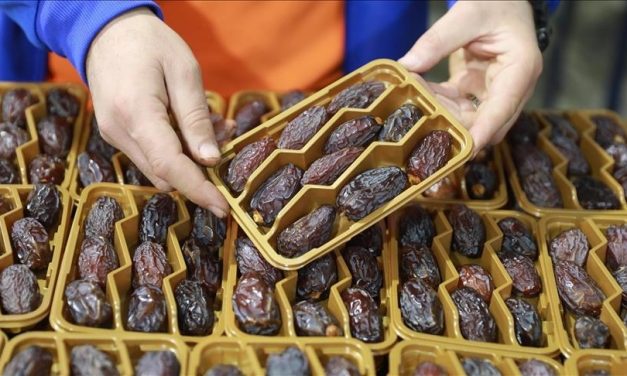 Izraelci hurme proizvedene na okupiranoj Zapadnoj obali izvoze kao palestinski proizvod