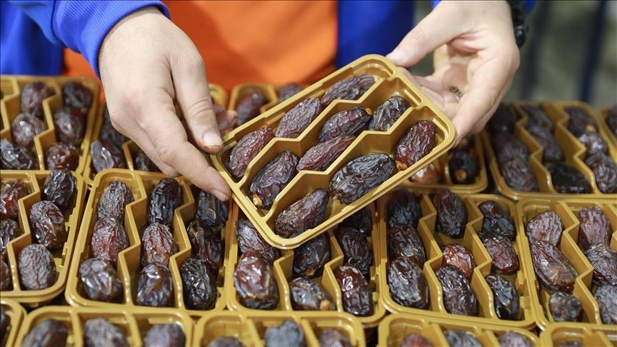 Izraelci hurme proizvedene na okupiranoj Zapadnoj obali izvoze kao palestinski proizvod