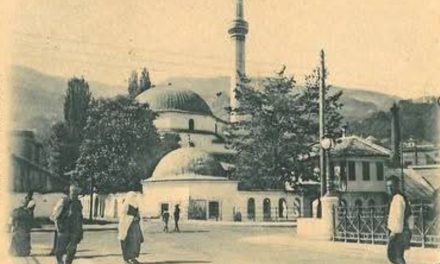 Prvu javnu, namjenski sagrađenu biblioteku u Sarajevu ustanovio je Osman Šehdi Bjelopoljac u spomen na preminulog sina