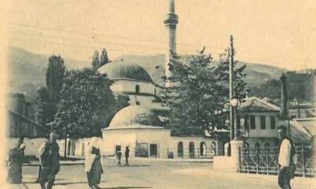 Prvu javnu, namjenski sagrađenu biblioteku u Sarajevu ustanovio je Osman Šehdi Bjelopoljac u spomen na preminulog sina