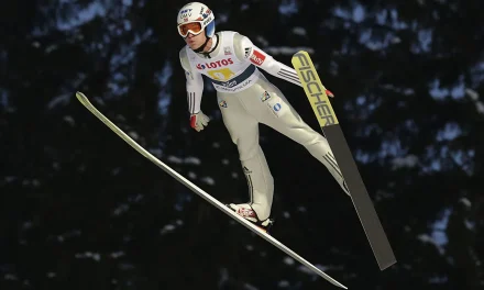 Hijaluronska kiselina za povećanje penisa?