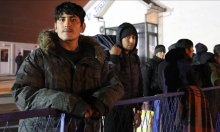 Pobjeda ekonomije nad politikom: Njemačka privlači migrante obećanjem o brzom zaposlenju