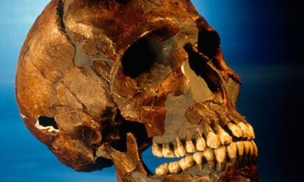 Sulejman al-Halebi i dva vijeka kolonijalnog trijumfalizma