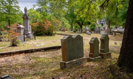 Nevjerovatna sudbina Omara ibn Saida