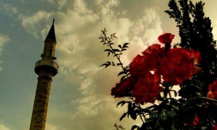 Idija, posebna bajramska književna forma