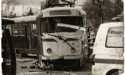 Ujeo je vuk kenjca: Nakon tramvaja smrti niti je iko odgovarao niti se išta promijenilo