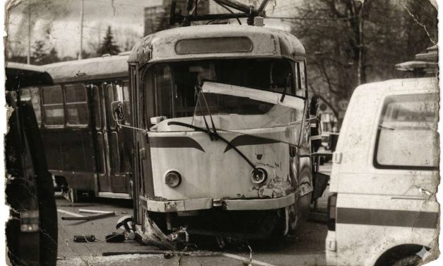 Ujeo je vuk kenjca: Nakon tramvaja smrti niti je iko odgovarao niti se išta promijenilo