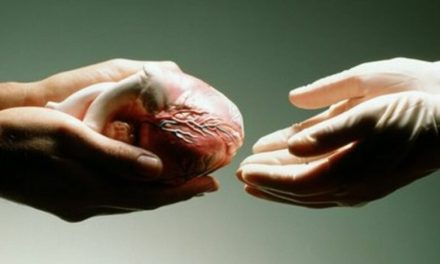 Prvu “transplantaciju” obavio je sam poslanik Muhamed a.s.