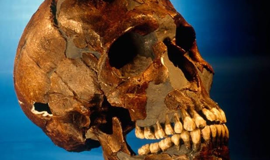 Sulejman al-Halebi i dva vijeka kolonijalnog trijumfalizma