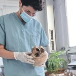 Potraga za hiljadama nestalih: Tri decenije čekanja na istinu u Bosni i Hercegovini