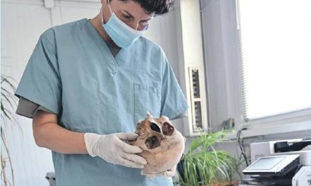 Potraga za hiljadama nestalih: Tri decenije čekanja na istinu u Bosni i Hercegovini