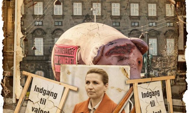 Svinje u središtu izbora u Danskoj