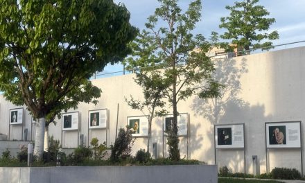 Priče o identitetu, sjećanju i iskustvu života između svjetova