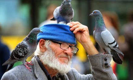 Pula se oprašta od Muje, čovjeka kojeg su svakodnevno pratili golubovi