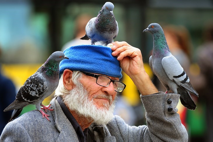 Pula se oprašta od Muje, čovjeka kojeg su svakodnevno pratili golubovi
