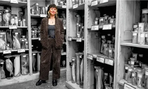 Kako ribe putuju kroz utrobu Balkana