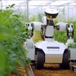 Turska planira uključiti 40.000 mladih u poljoprivredu uz pomoć vještačke inteligencije