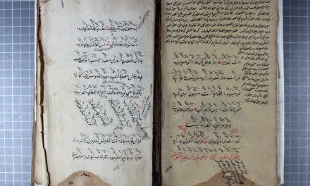 Turska posjeduje 784.000 rukopisa, većina njih su digitalizirani i besplatno dostupni