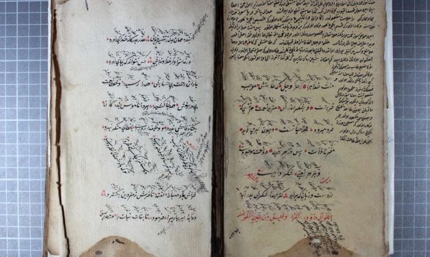 Turska posjeduje 784.000 rukopisa, većina njih su digitalizirani i besplatno dostupni