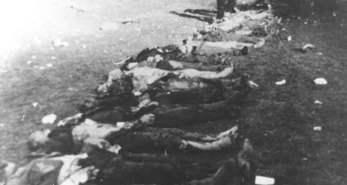 Sloboda izborena šestog aprila: Fašisti su tokom Drugog svjetskog rata ubili svakog osmog Sarajliju