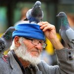 Pula se oprašta od Muje, čovjeka kojeg su svakodnevno pratili golubovi