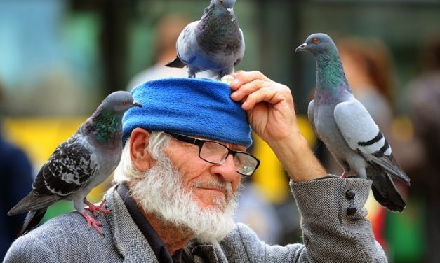 Pula se oprašta od Muje, čovjeka kojeg su svakodnevno pratili golubovi