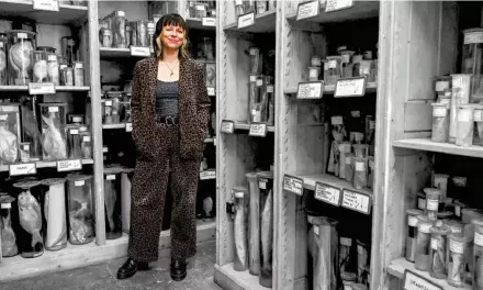 Kako ribe putuju kroz utrobu Balkana