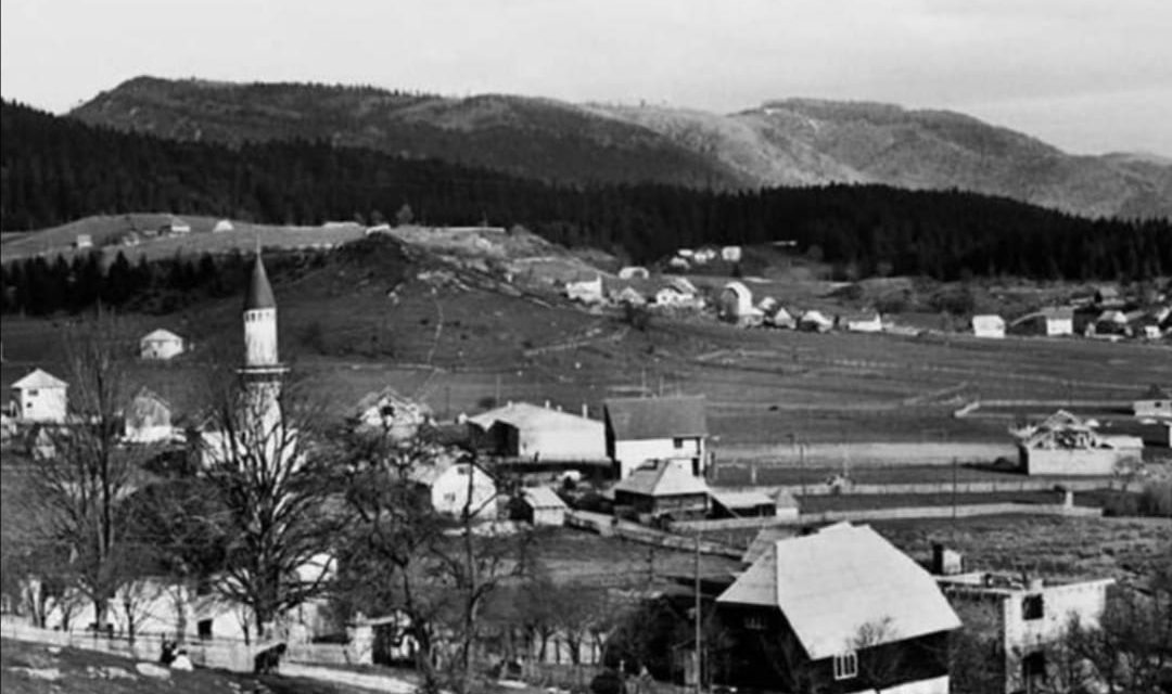 Priča o Sulji H. koji nije htio biti magarac