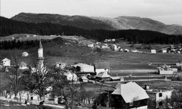 Priča o Sulji H. koji nije htio biti magarac