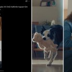 Bosch u reklami za Majčin dan djecu zamijenio kućnim ljubimcima, Turci bijesni na njemačku kompaniju