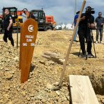 Živimo u društvu u kojem se bahatost i nasilje ne kažnjavaju