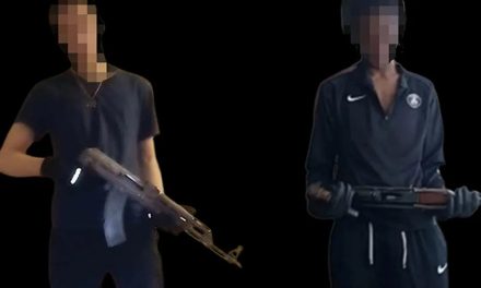 ‘Barnsoldater’, švedska djeca vojnici: Kako je država blagostanja postala tvornica tinejdžerskih ubica