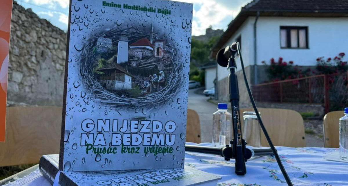 Prusac, gnijezdo na bedemu