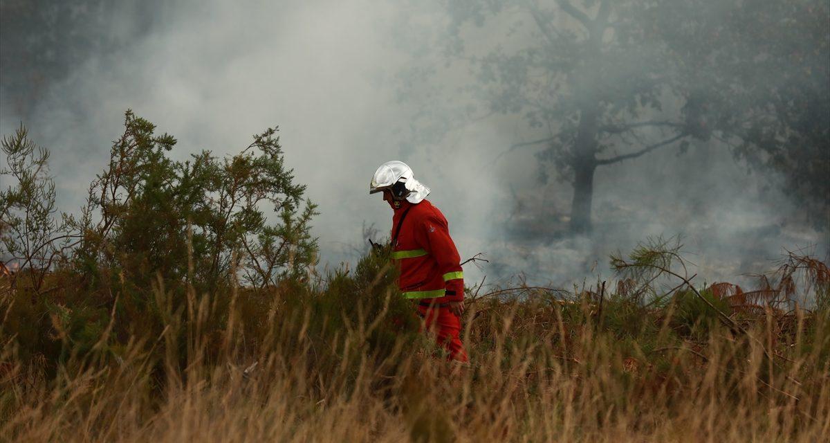 Dramatična borba s vatrenom stihijom: Novi toplinski val prijeti Španiji i Francuskoj