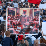 Šta zapravo otkriva „Flamingo revolucija“