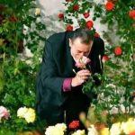 Arhitektura ljubavi šejha Halila Hulusije