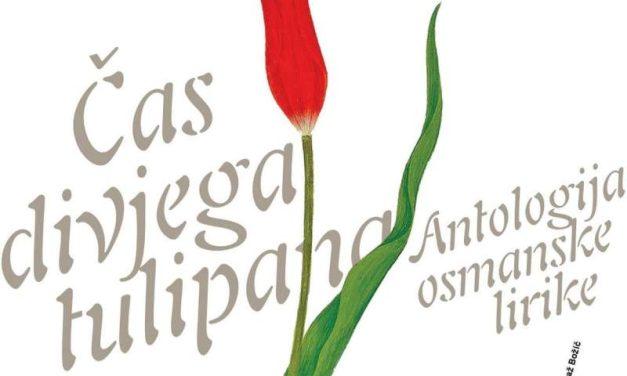Žudnja u vrtovima osmanskih sultana