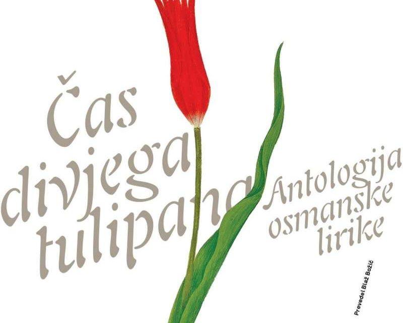 Žudnja u vrtovima osmanskih sultana
