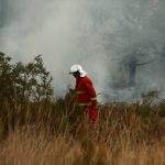 Dramatična borba s vatrenom stihijom: Novi toplinski val prijeti Španiji i Francuskoj